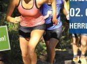 TRAIL MARATÓN Heidelberg. 42km 1500m Alvaro Molinos