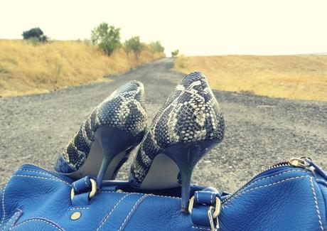 http://www.loslooksdemiarmario.com/2016/10/mis-nuevos-zapatos-python-azules-look.html