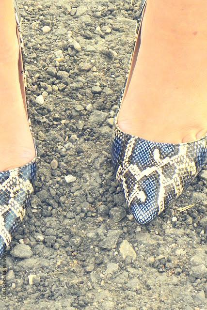 http://www.loslooksdemiarmario.com/2016/10/mis-nuevos-zapatos-python-azules-look.html