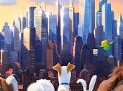 CDI-100: Secret Life Pets (Mascotas)