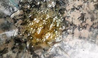 Flan de Ricotta en Microondas