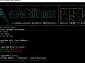 Arch Linux podría estar pronto disponible Windows