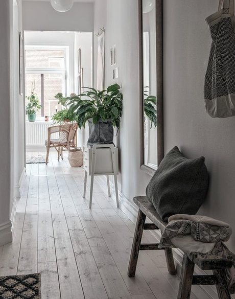 VERDE QUE TE QUIERO VERDE