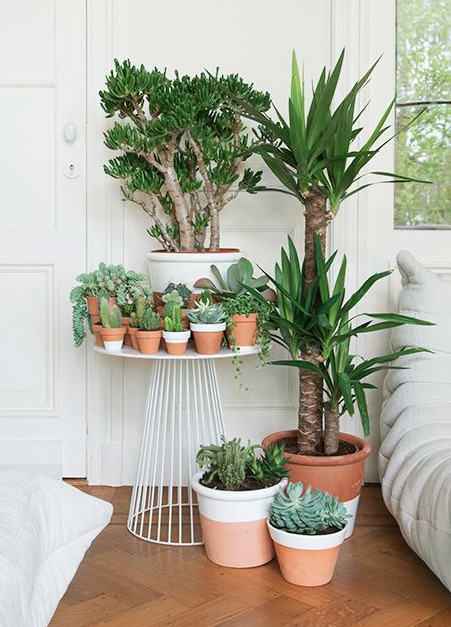 VERDE QUE TE QUIERO VERDE