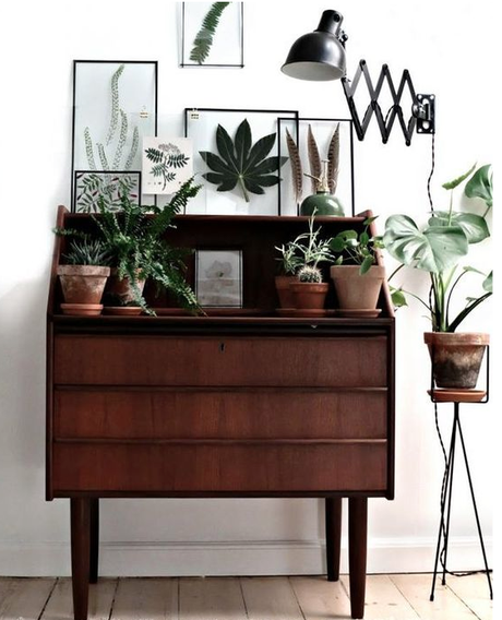 VERDE QUE TE QUIERO VERDE