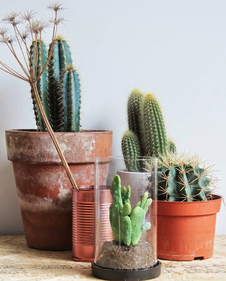 VERDE QUE TE QUIERO VERDE