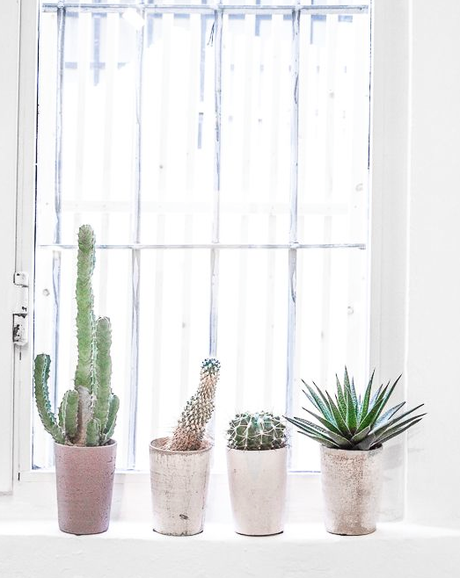 VERDE QUE TE QUIERO VERDE