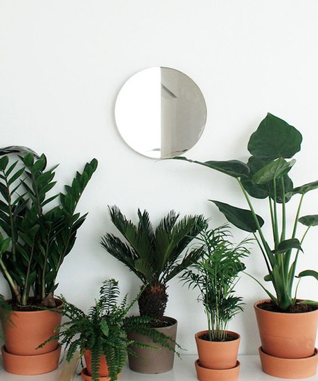 VERDE QUE TE QUIERO VERDE