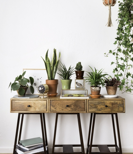 VERDE QUE TE QUIERO VERDE