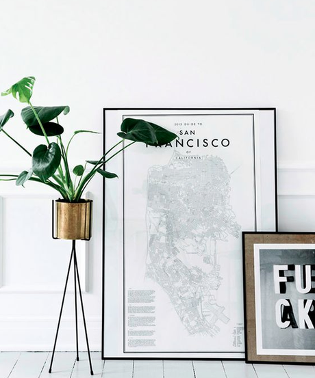 VERDE QUE TE QUIERO VERDE