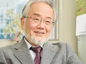 Yoshinori Ohsumi, Nobel Medicina descubrimiento mecanismos autofagia.