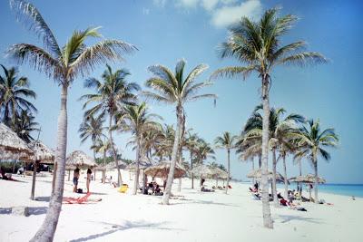 UN ÚLTIMO VISTAZO POR LA HABANA(Última entrega en prosa d...