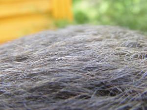 Kev Hickey @ Flickr.com (CC BY 2.0)