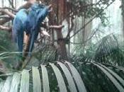 Actividades niños: Visita Faunia