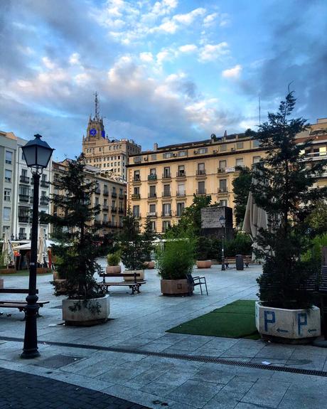 La postal de la semana: El bosque inanimado