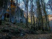 Molí Salt Mir, corazón Bisaura