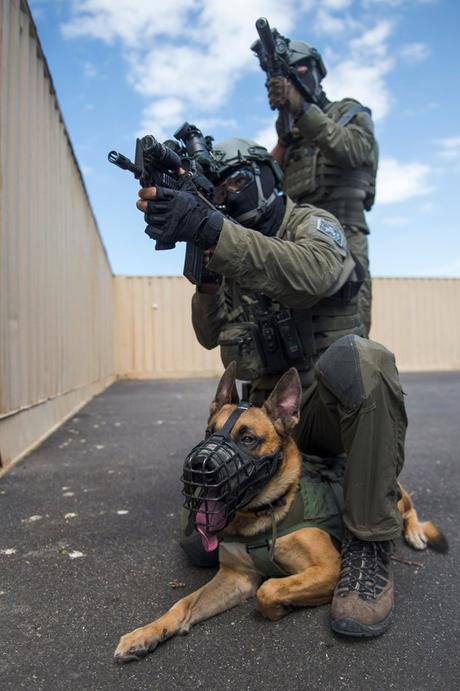 Así trabaja la unidad de élite Shaldag.