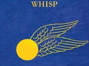 Quidditch través tiempos