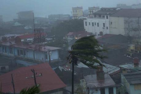 a palm succumbs to the wind in Baracoa, Cuba, Tuesday, Oct. 4, 2016. (AP Photo/Ramon Espinosa)