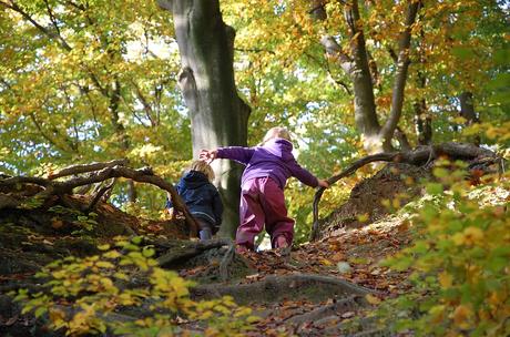 Como sacar partido a las excursiones de otoño con niños