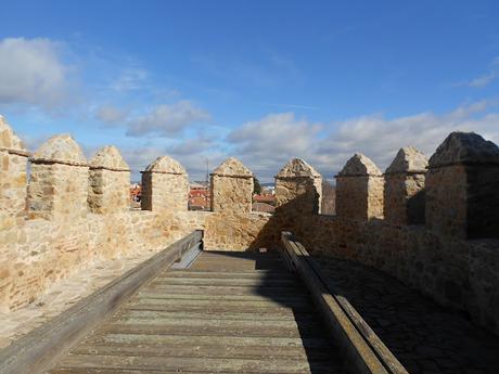 Vistas de... Ávila