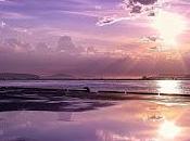 Había margaritas soñaban...