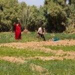 Marruecos en furgoneta – Nuestra ruta (Segunda Parte) Marruecos-Intro1-Furgoneteo.com