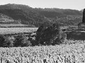 Bodegues Sumarroca Selfoods