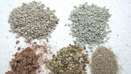 tipos de arena para gatos