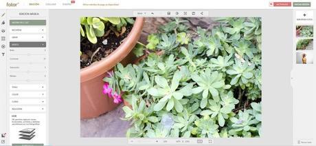 Editando imágenes con Fotor