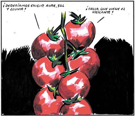 [Humor en cápsulas] Para hoy viernes, 7 de octubre de 2016