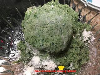 HAMBURGUESAS DE POLLO Y ESPINACAS