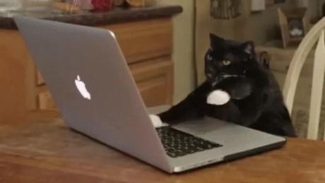 La divertida reacción de Netflix tras la caída de su plataforma el pasado sábado