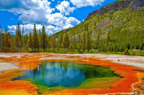 Parque Natural Yellowstone