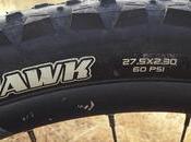 Review: Maxxis Tomahawk