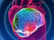 ¿Puede tengamos cerebros?