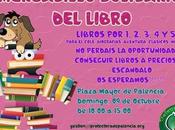 Mercadillo solidario libro Palencia