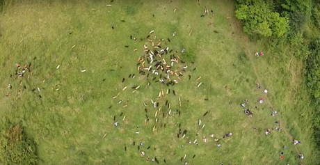 El paraíso de los perros en la tierra