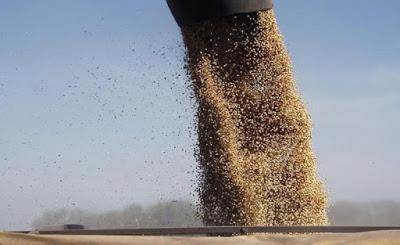 China suspende la compra de soja a la Argentina por paralizar las represas de Santa Cruz