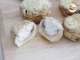RECETA - Champiñones aperitivo rellenos de queso
