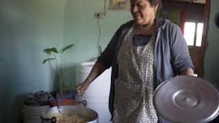 Se alimentan gracias a su esfuerzo