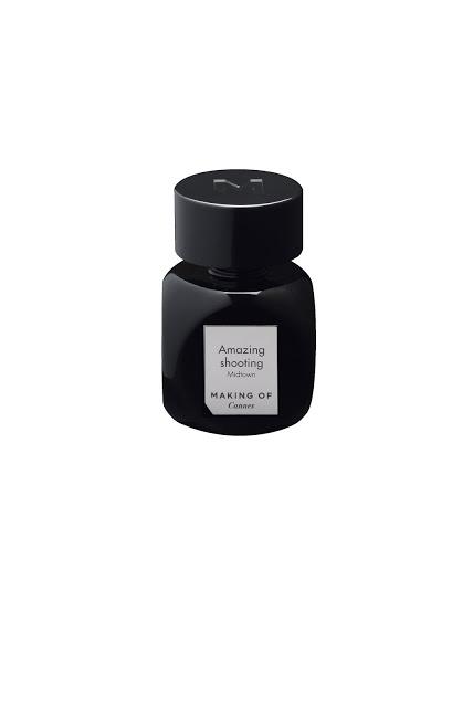 Making Of Cannes Amazing Shooting