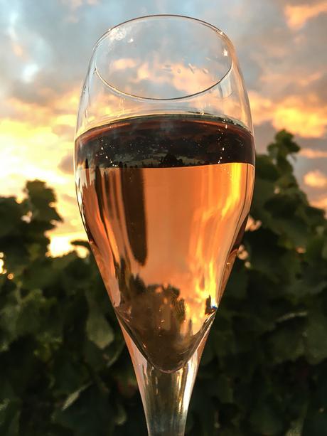 Berenar de Verema en Cavas Nadal, la fiesta de la vendimia