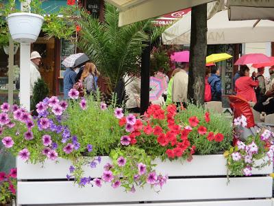 ALGUNA IDEA VAGABUNDA