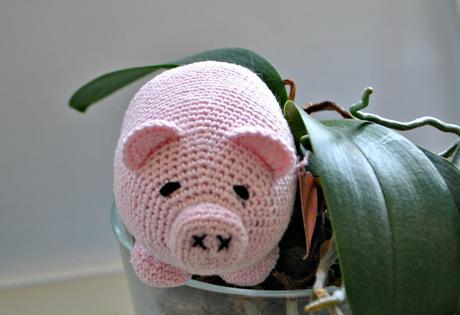 CERDITO CARITA DE BUENO CERDITO CARITA DE BUENO