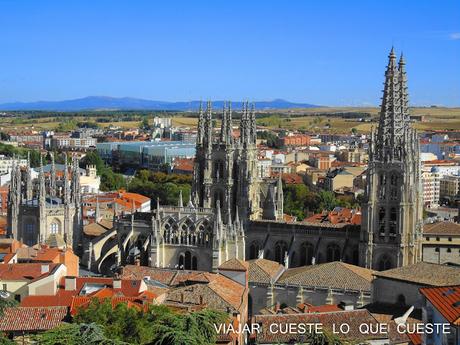 catedral de burgos