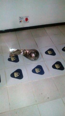 Intentan robar cantera de Pumas Intentan robar cantera de Pumas