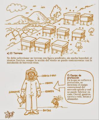 Manual Apícola Ilustrado - Beekeeping Illustrated Manual.