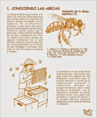 Manual Apícola Ilustrado - Beekeeping Illustrated Manual.