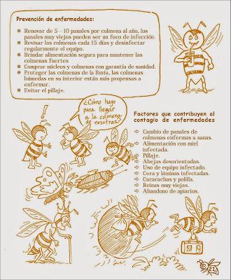 Manual Apícola Ilustrado - Beekeeping Illustrated Manual.